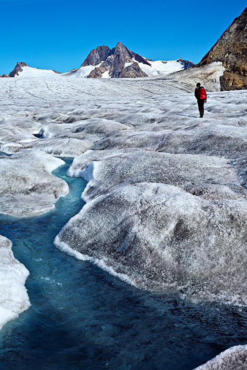Smältvattnet samlas i bäckar på glaciären.