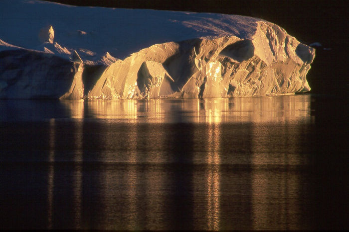 Isbergen blev guldfärgade av den sneda nattsolen.